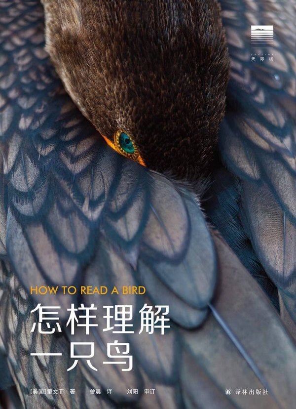 淘配网 悦读|观鸟成为生活新趋势，鸟迷有了进阶阅读指南