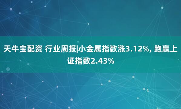 天牛宝配资 行业周报|小金属指数涨3.12%, 跑赢上证指数2.43%