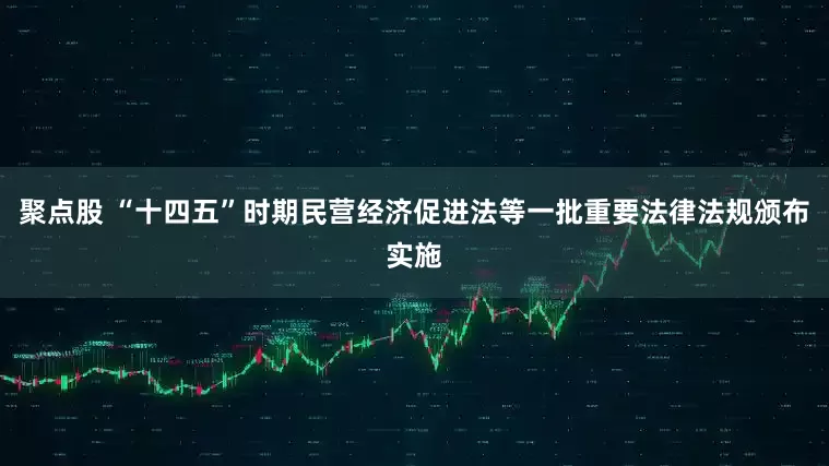 聚点股 “十四五”时期民营经济促进法等一批重要法律法规颁布实施