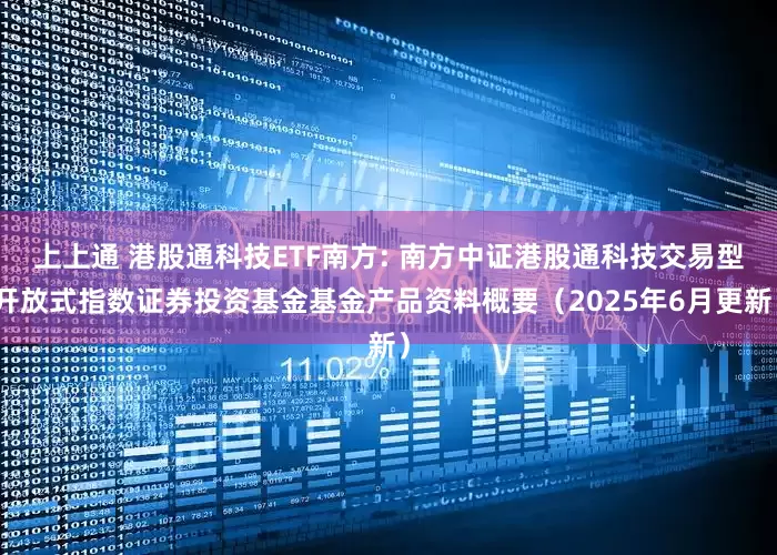 上上通 港股通科技ETF南方: 南方中证港股通科技交易型开放式指数证券投资基金基金产品资料概要（2025年6月更新）